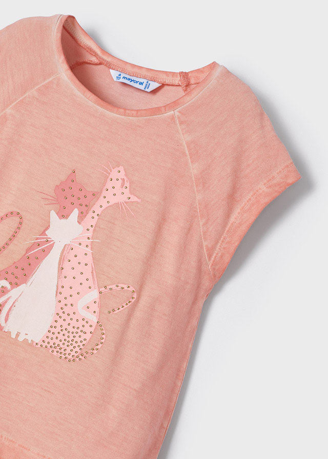 Camiseta Gatos Melocotón