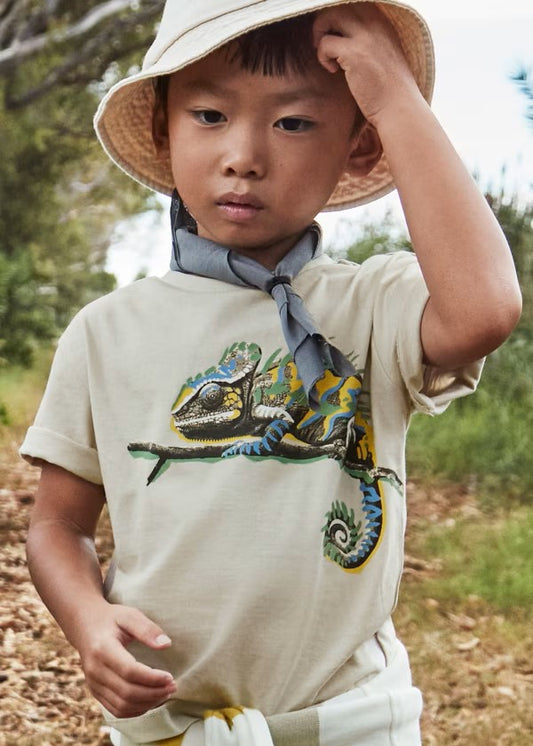Camiseta camaleón niño Ref. 3045-090