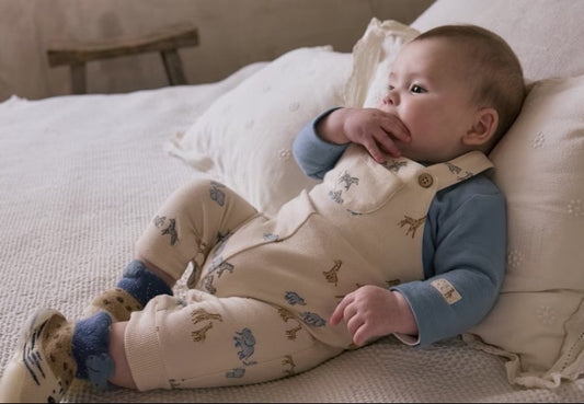 Conjunto peto estampado y playera recién nacido Ref. 2618-061