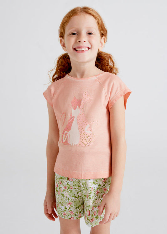 Camiseta Gatos Melocotón