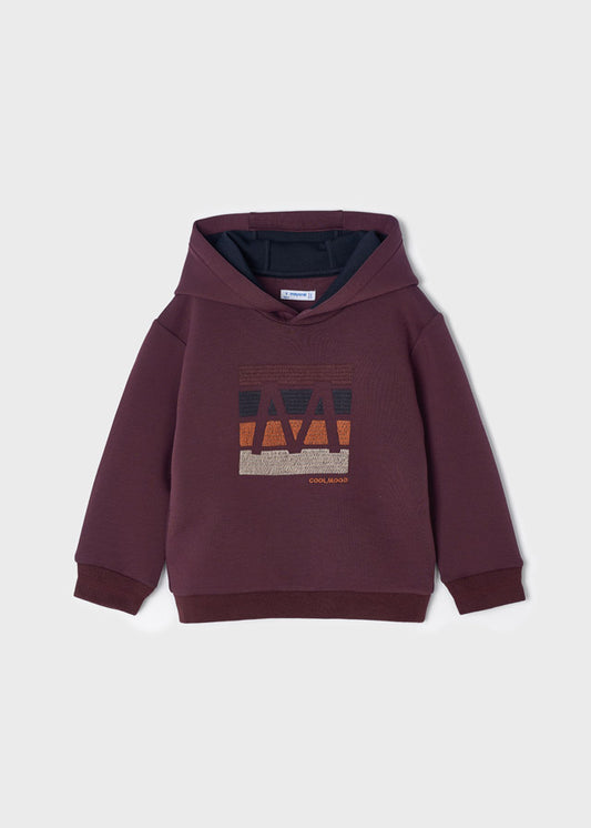 Sudadera con bordado para niño